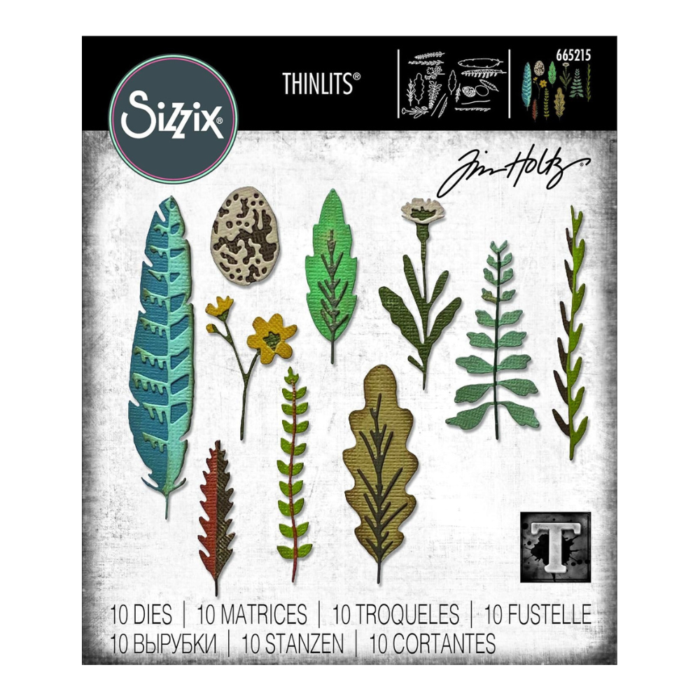 Sizzix funky nature by Tim Holtz 2